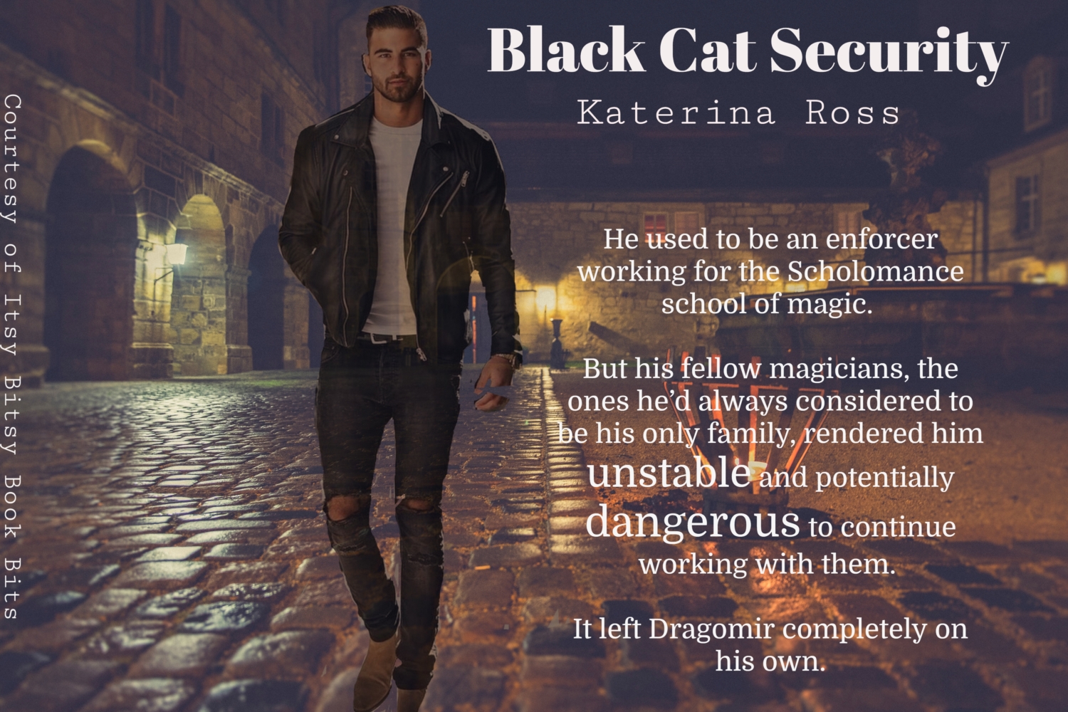 Black Cat Security by Katerina Ross Itsy Bitsy Book Bits