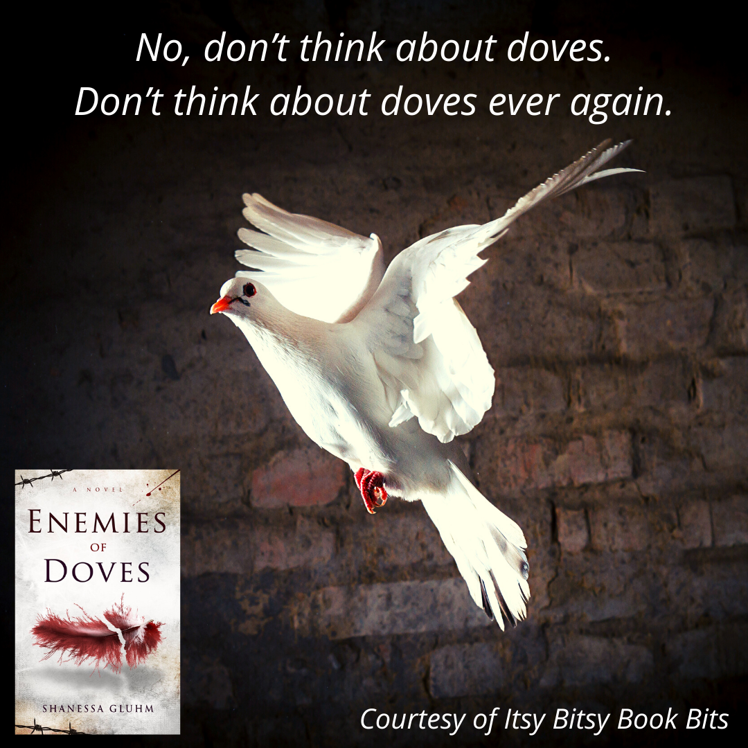 Enemies of Doves by Shanessa Gluhm Itsy Bitsy Book Bits