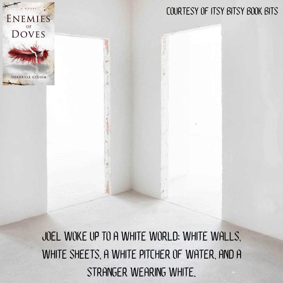 Enemies of Doves by Shanessa Gluhm Itsy Bitsy Book Bits